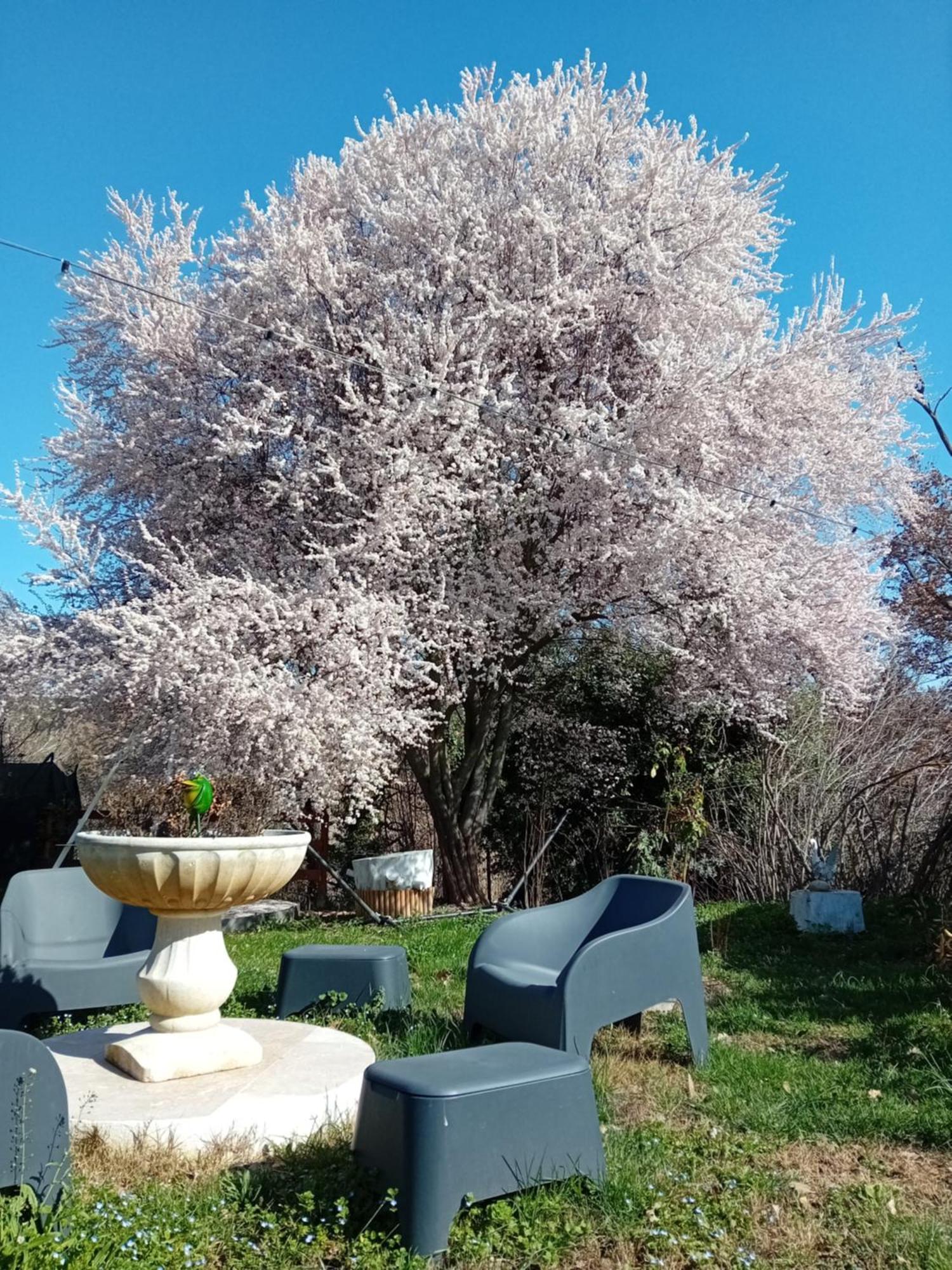 Appartement Au Coeur De L'eze Avec Jacuzzi